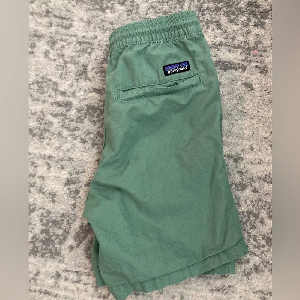 Patagonia men’s shorts